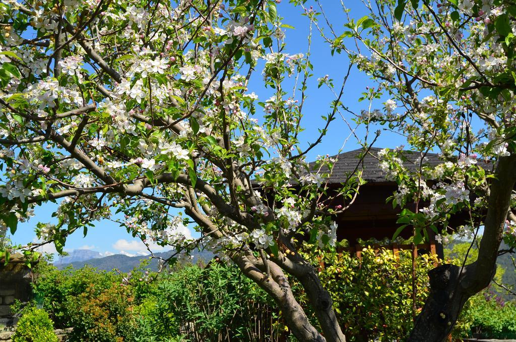 Casa Rural La Era Sieste Bagian luar foto